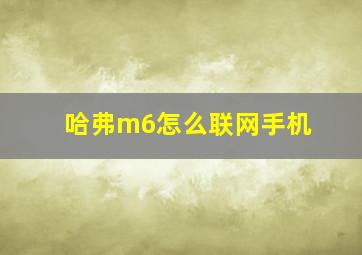 哈弗m6怎么联网手机