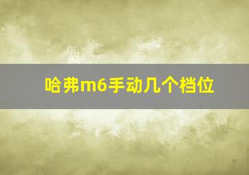 哈弗m6手动几个档位