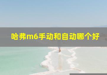 哈弗m6手动和自动哪个好