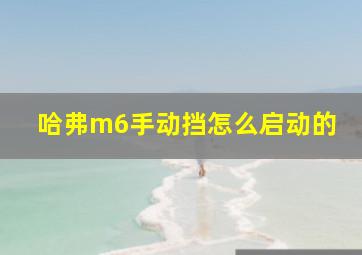 哈弗m6手动挡怎么启动的