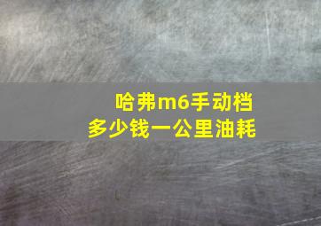 哈弗m6手动档多少钱一公里油耗