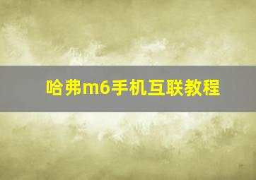 哈弗m6手机互联教程