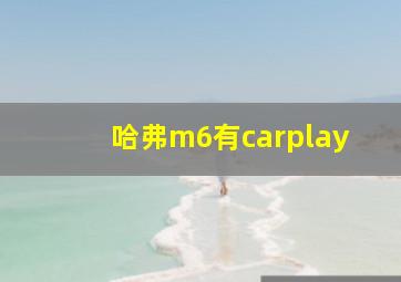 哈弗m6有carplay