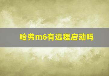 哈弗m6有远程启动吗