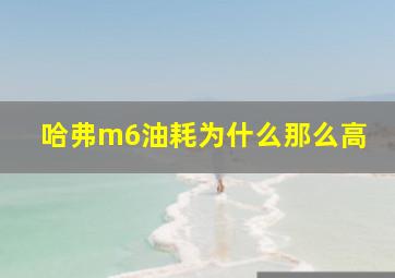 哈弗m6油耗为什么那么高