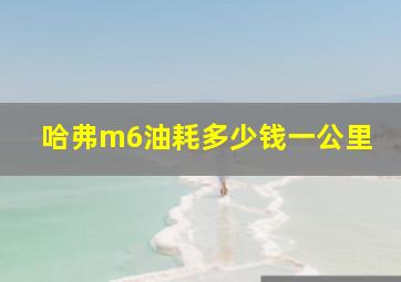 哈弗m6油耗多少钱一公里