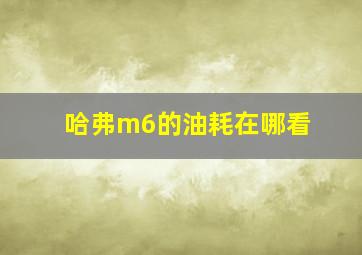 哈弗m6的油耗在哪看