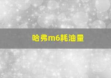 哈弗m6耗油量