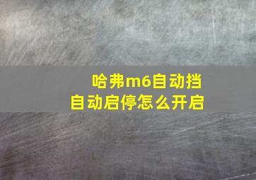 哈弗m6自动挡自动启停怎么开启