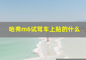 哈弗m6试驾车上贴的什么