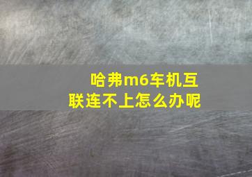 哈弗m6车机互联连不上怎么办呢