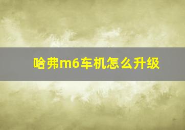 哈弗m6车机怎么升级