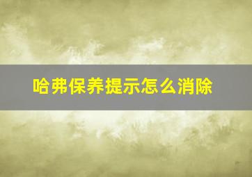 哈弗保养提示怎么消除