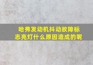 哈弗发动机抖动故障标志亮灯什么原因造成的呢