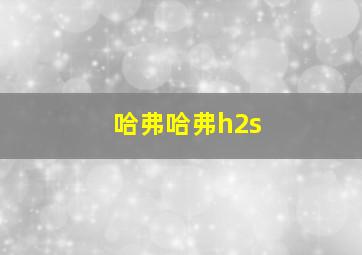 哈弗哈弗h2s