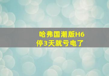 哈弗国潮版H6停3天就亏电了