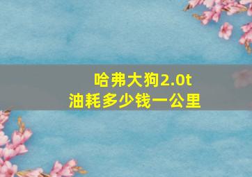 哈弗大狗2.0t油耗多少钱一公里