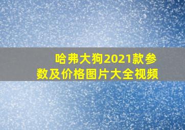 哈弗大狗2021款参数及价格图片大全视频