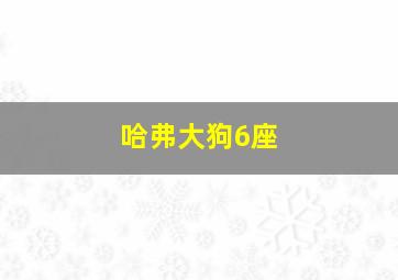 哈弗大狗6座