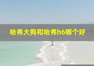 哈弗大狗和哈弗h6哪个好