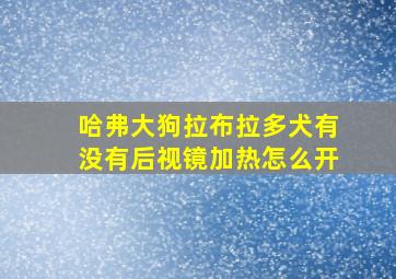 哈弗大狗拉布拉多犬有没有后视镜加热怎么开