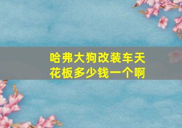 哈弗大狗改装车天花板多少钱一个啊