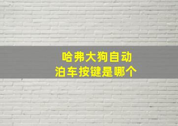 哈弗大狗自动泊车按键是哪个