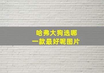 哈弗大狗选哪一款最好呢图片