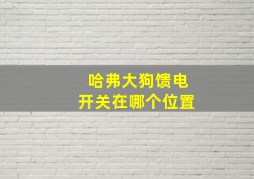 哈弗大狗馈电开关在哪个位置