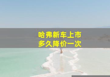 哈弗新车上市多久降价一次