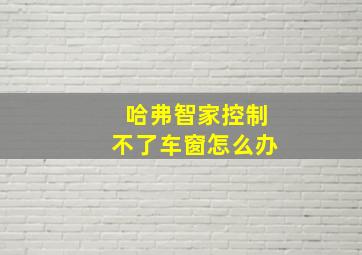 哈弗智家控制不了车窗怎么办