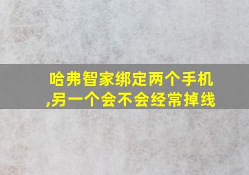 哈弗智家绑定两个手机,另一个会不会经常掉线