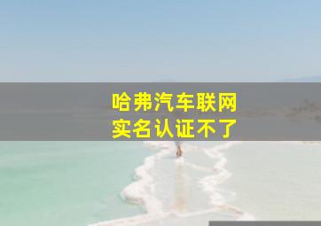 哈弗汽车联网实名认证不了