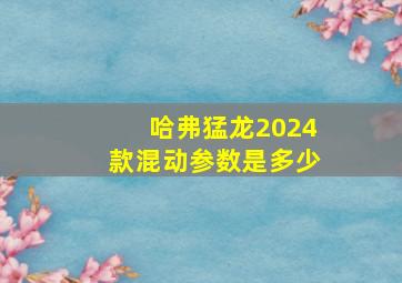 哈弗猛龙2024款混动参数是多少