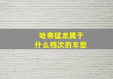 哈弗猛龙属于什么档次的车型