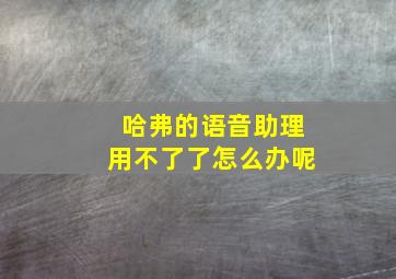 哈弗的语音助理用不了了怎么办呢