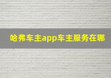 哈弗车主app车主服务在哪