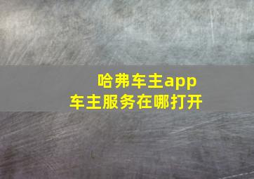 哈弗车主app车主服务在哪打开