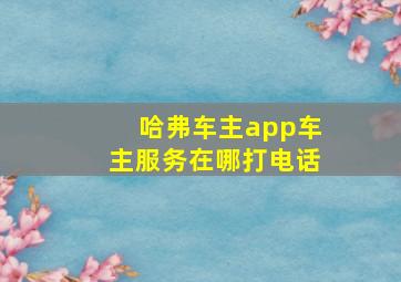 哈弗车主app车主服务在哪打电话