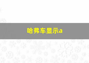 哈弗车显示a