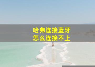 哈弗连接蓝牙怎么连接不上