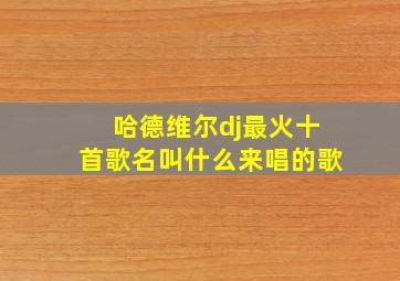 哈德维尔dj最火十首歌名叫什么来唱的歌