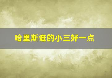 哈里斯谁的小三好一点