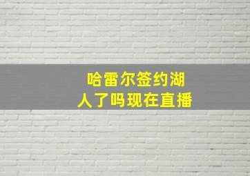 哈雷尔签约湖人了吗现在直播