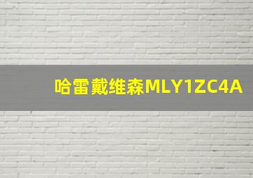 哈雷戴维森MLY1ZC4A