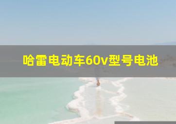 哈雷电动车60v型号电池