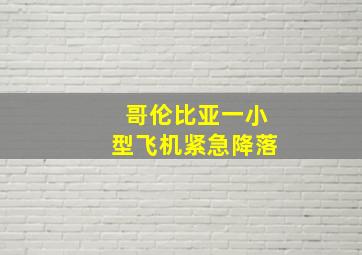 哥伦比亚一小型飞机紧急降落