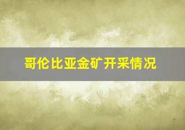 哥伦比亚金矿开采情况