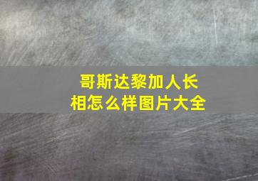 哥斯达黎加人长相怎么样图片大全