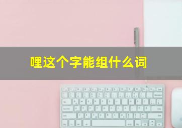 哩这个字能组什么词